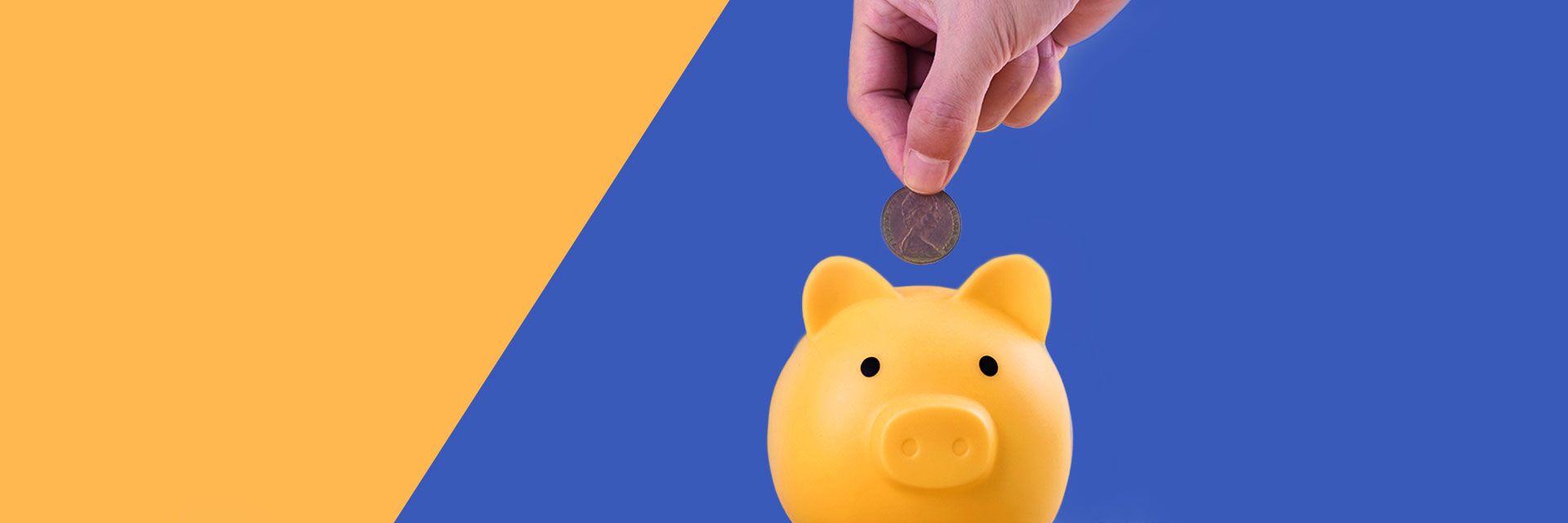 Amplify Is Permanent Life Insurance a Good Investment?